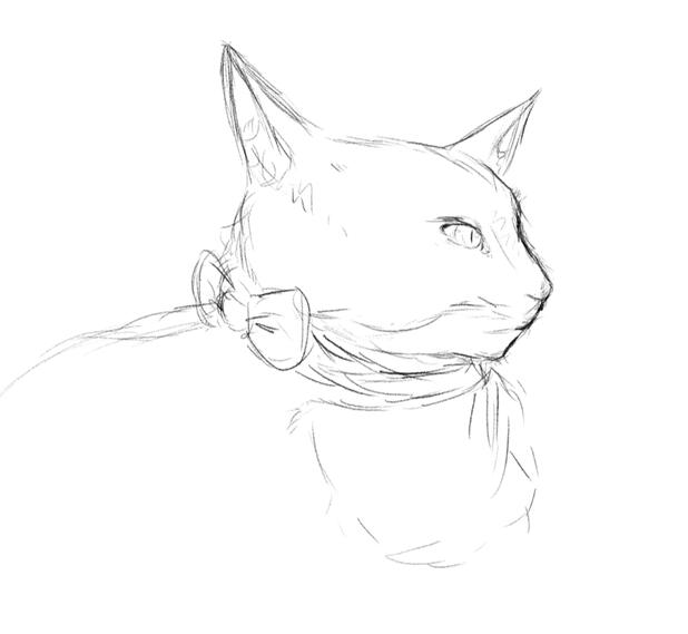 My pretty cat, Mika. She is the reason I’m doing all this; I didn’t have enough money to take care of her, and she was taken away from me.